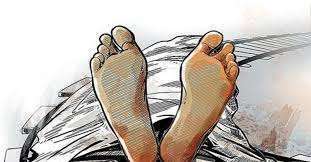  रोल्पाको निगालपानीमा तरकारी बोकेको ट्रकले तरकारी बेच्ने एक युवकको किचेर मृत्यु