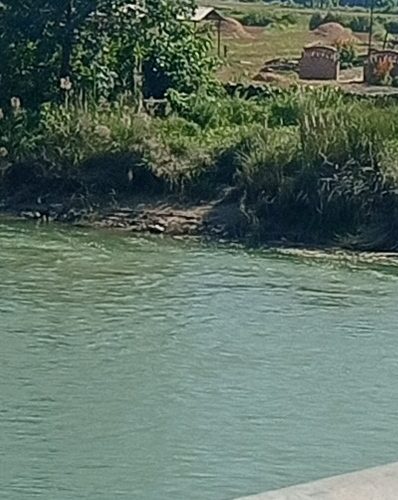 दाङको राप्ती नदिमा डुबेर रनियाँपुरका तीन बालीका मृत्यु