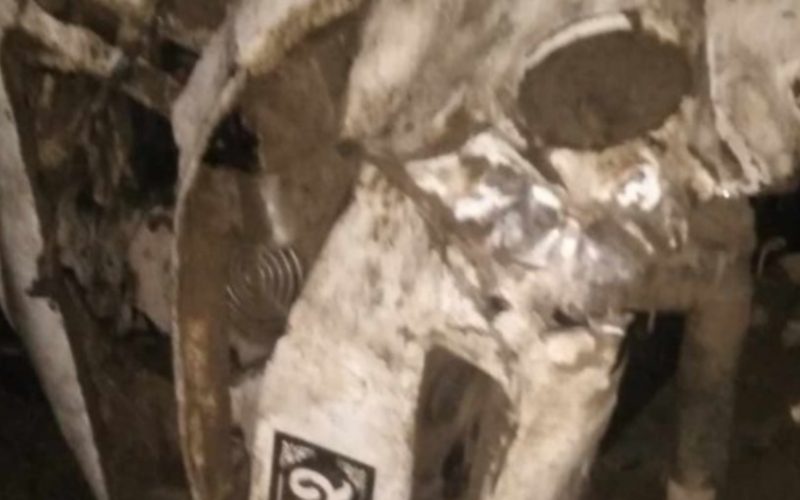 दाङ तुलसीपुरको साततलेमा जिप दुर्घटना हुँदा दुईको मृत्यु तीन गम्भीर घाइते