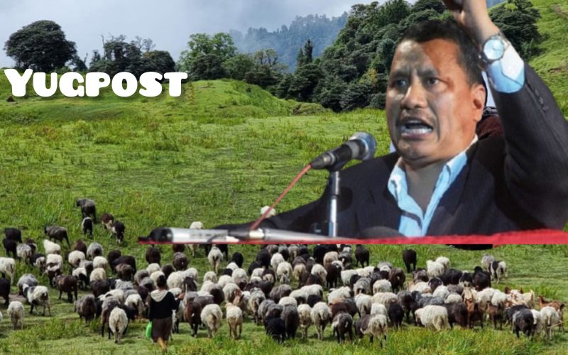 भेडा पालनमा लाग्दै विप्लव नेकपा