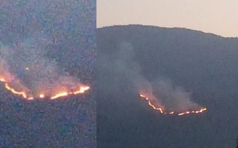 रोल्पाको त्रिवेणी गाउँपालिका-३ मा आगलागी, नियन्त्रण गर्न कठिनाइ