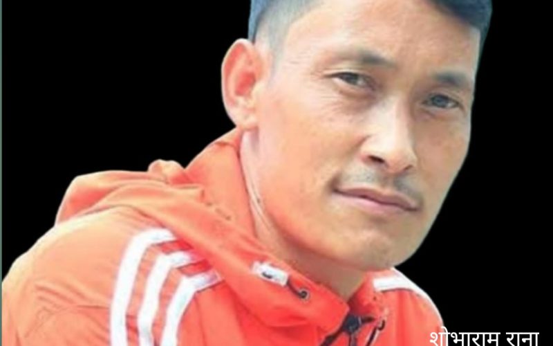 अहिलेको आवश्यकता : राजा कि राजनेता