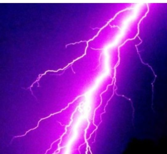 रोल्पाको एक गोठमा चट्याङ पर्दा एक भैसीको मृत्यु