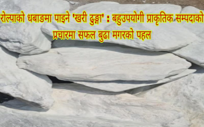 रोल्पाको धबाङमा पाइने ‘खरी ढुङ्गा’ : बहुउपयोगी प्राकृतिक सम्पदाको प्रचारमा सफल बुढा मगरको पहल