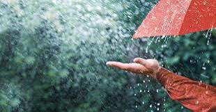 असिनाले त्रिवेणी–७ खर्कका तरकारी बालीमा करिब १ करोड २८ लाखको क्षति