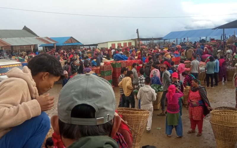 रोल्पाको मंगल ज्योति ताजा तरकारी संकलन केन्द्र निगालपानी असार ११ गते देखि संचालन हुने