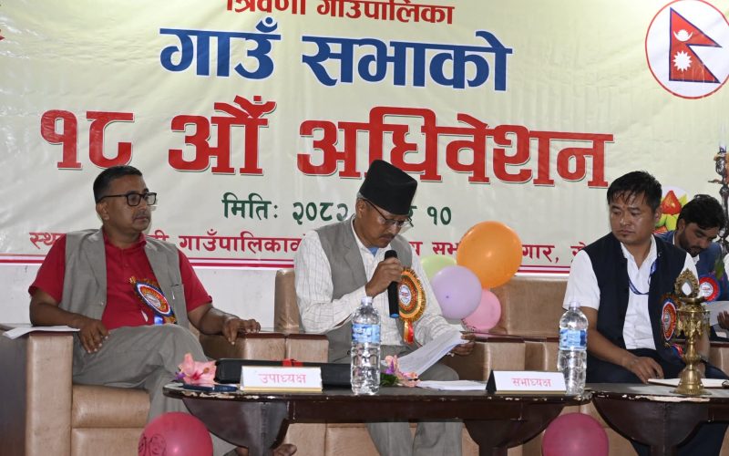 त्रिवेणी गाउँपालिकाको सार्वजनिक सुनुवाइ आज