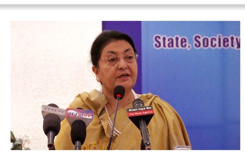 मेरो पक्षमा बोल्नेहरुलाई आतंकित पार्न खोजिदैछ : विधा भण्डारी