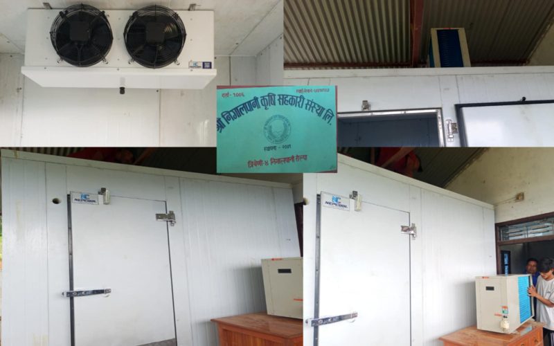 निगालपानी कृषि सहकारीले संघीय सरकारको सहयोगमा बनायो कोल्डच्याम्बर